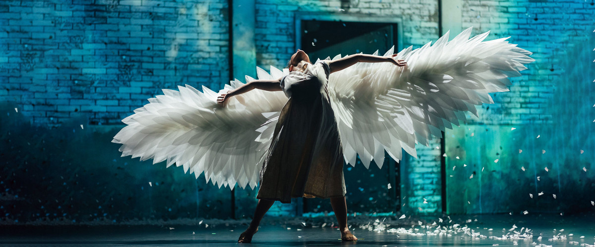 Díjátadó gála | Fekete hattyú