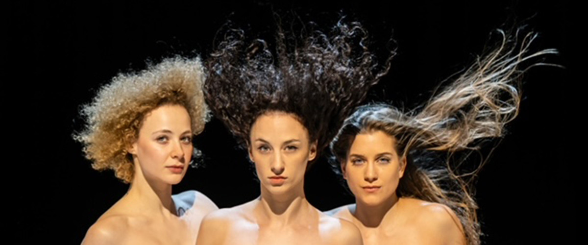 Bemutató - SALEM | Megmaradunk